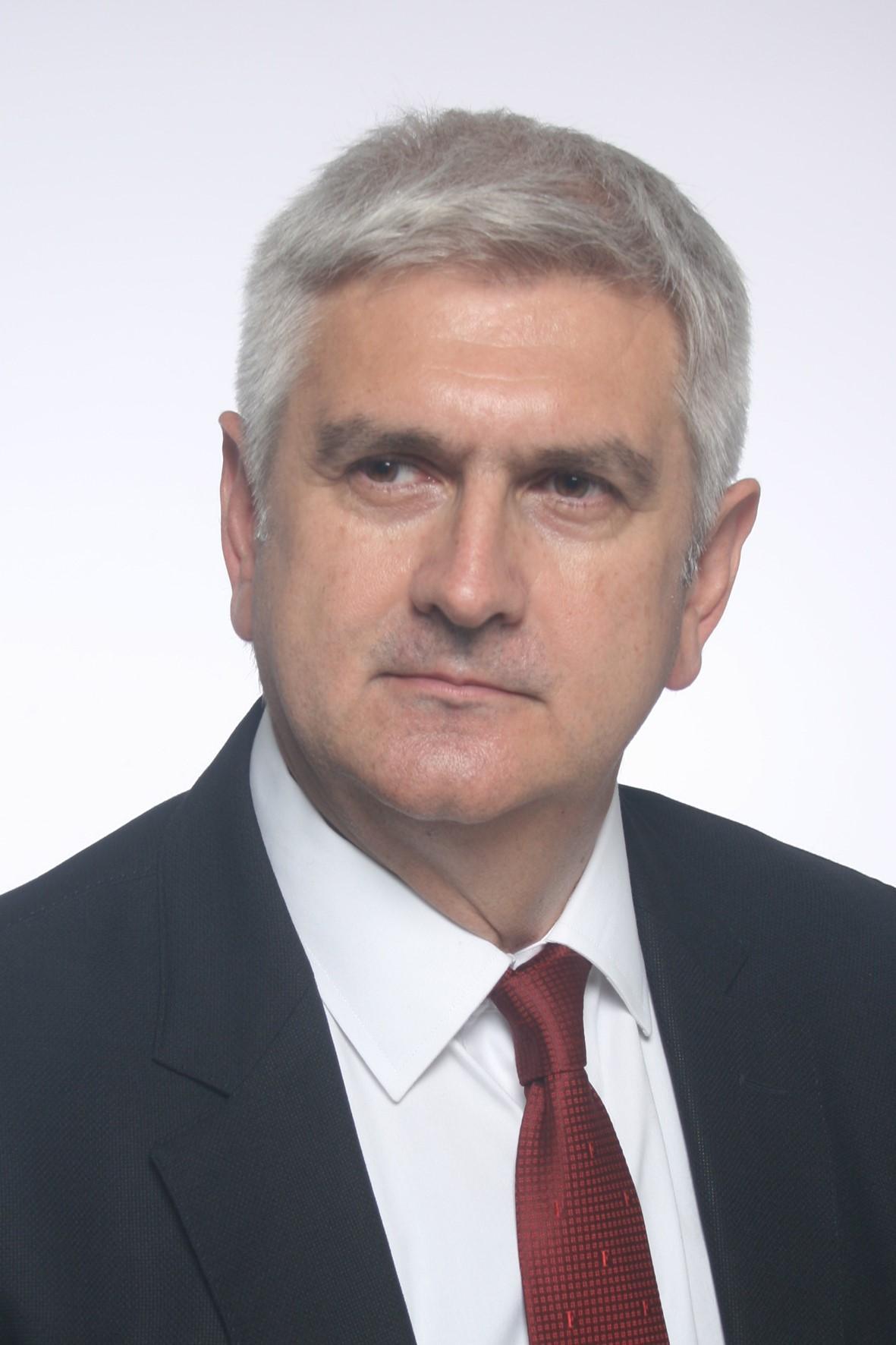 Poza Niculescu - Titu Maiorescu University