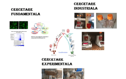 Finalizarea Proiectului Dia-Cure